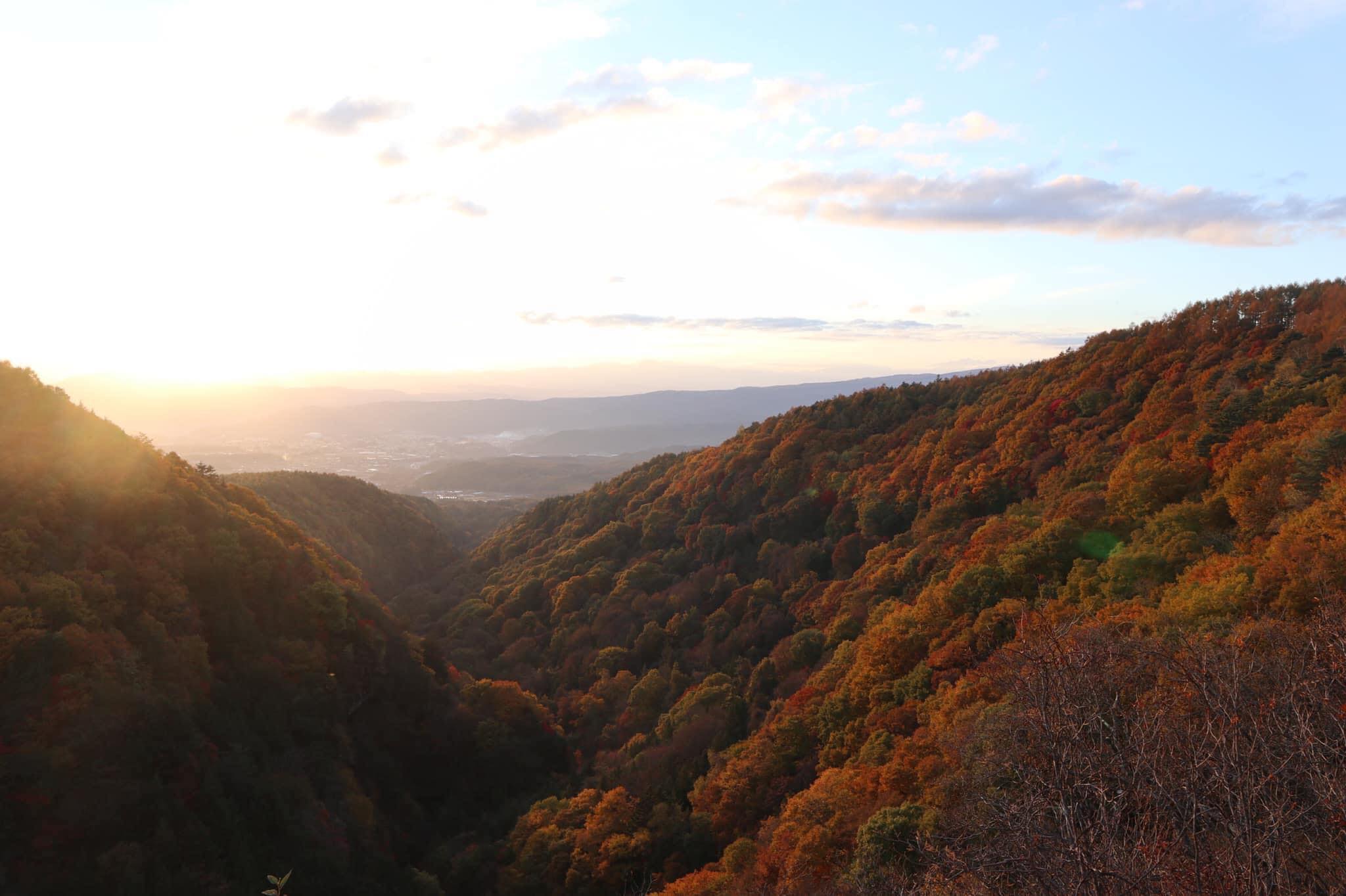 Monster & Mermaid - Fun and optimistic news to Lift your Spirits!